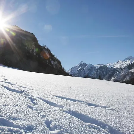 Apartment Agricola *