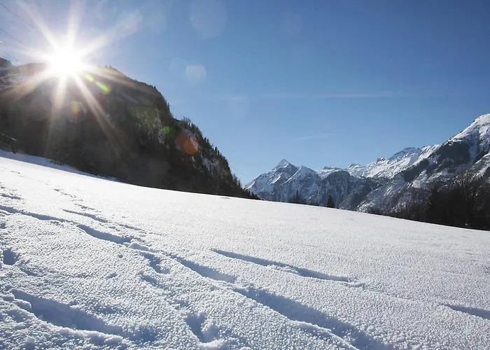 Апартаменты Agricola *